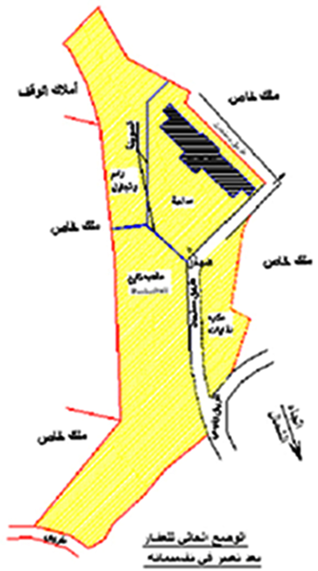 Joun and AL-Borjein Schools
