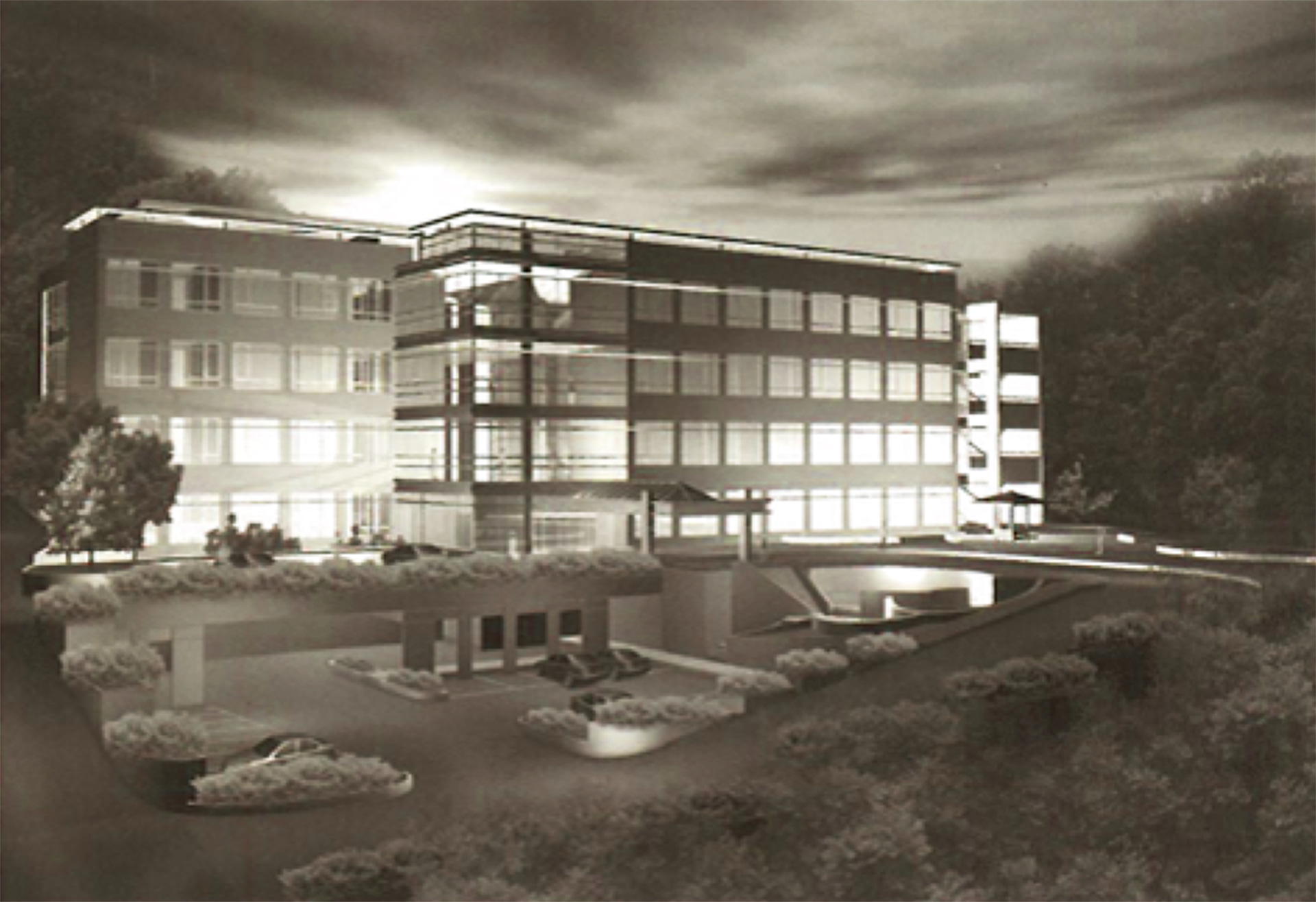 Maternity Bin Zayed Al Nahyan Foundation